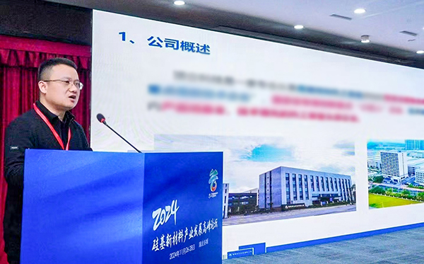 頂立科技參加硅基新材料高峰論壇，分享高純石英制備熱工裝備最新技術(shù)
